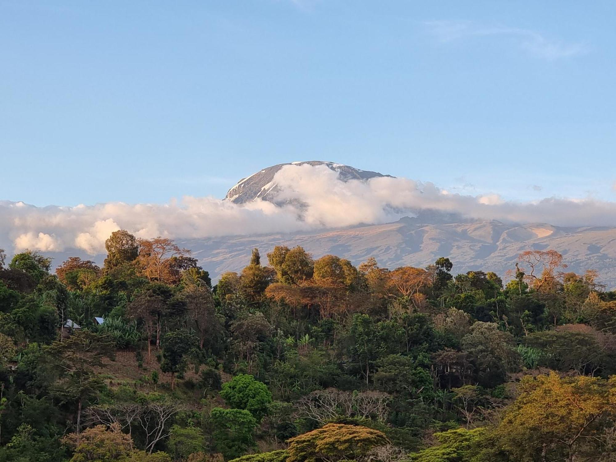 Kisanga Homestay Moshi Dış mekan fotoğraf